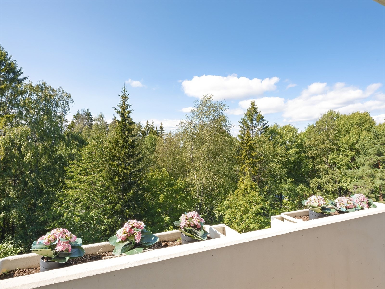 Utsikt fra balkongen mot grønne omgivelser. Galleribilde