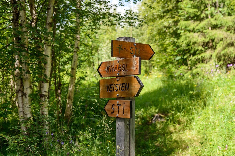 Fine turområder i nabolaget Galleribilde