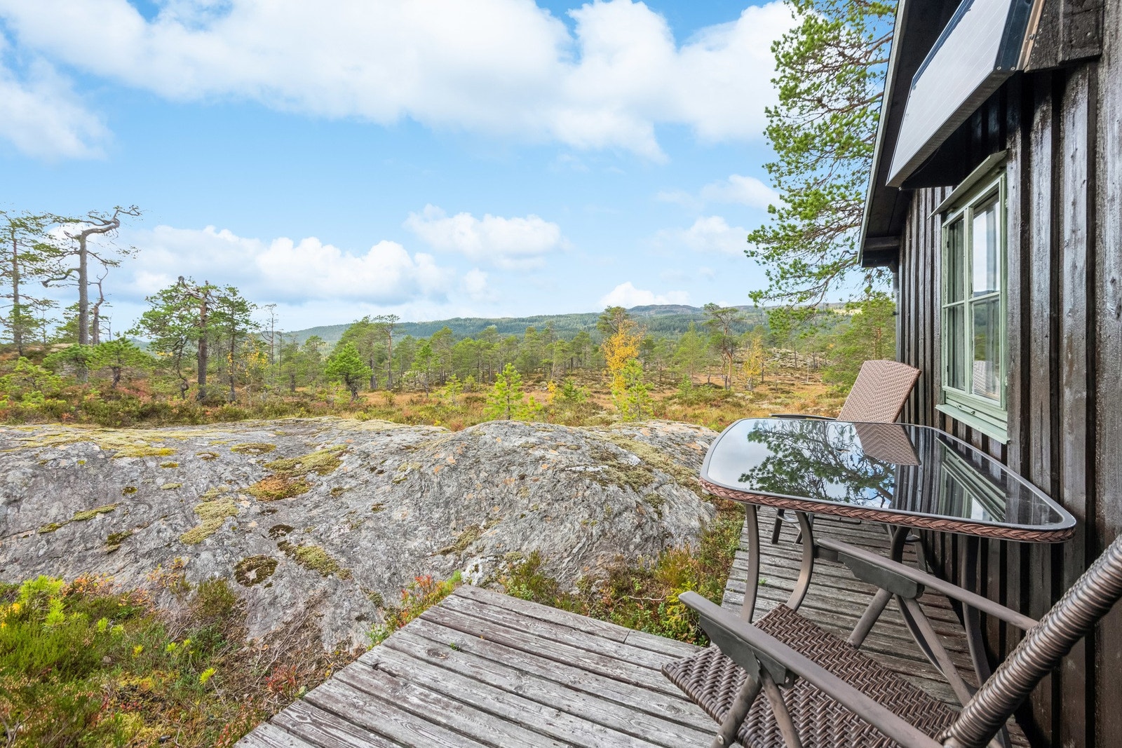 Velkommen til en hyggelig visning! Galleribilde