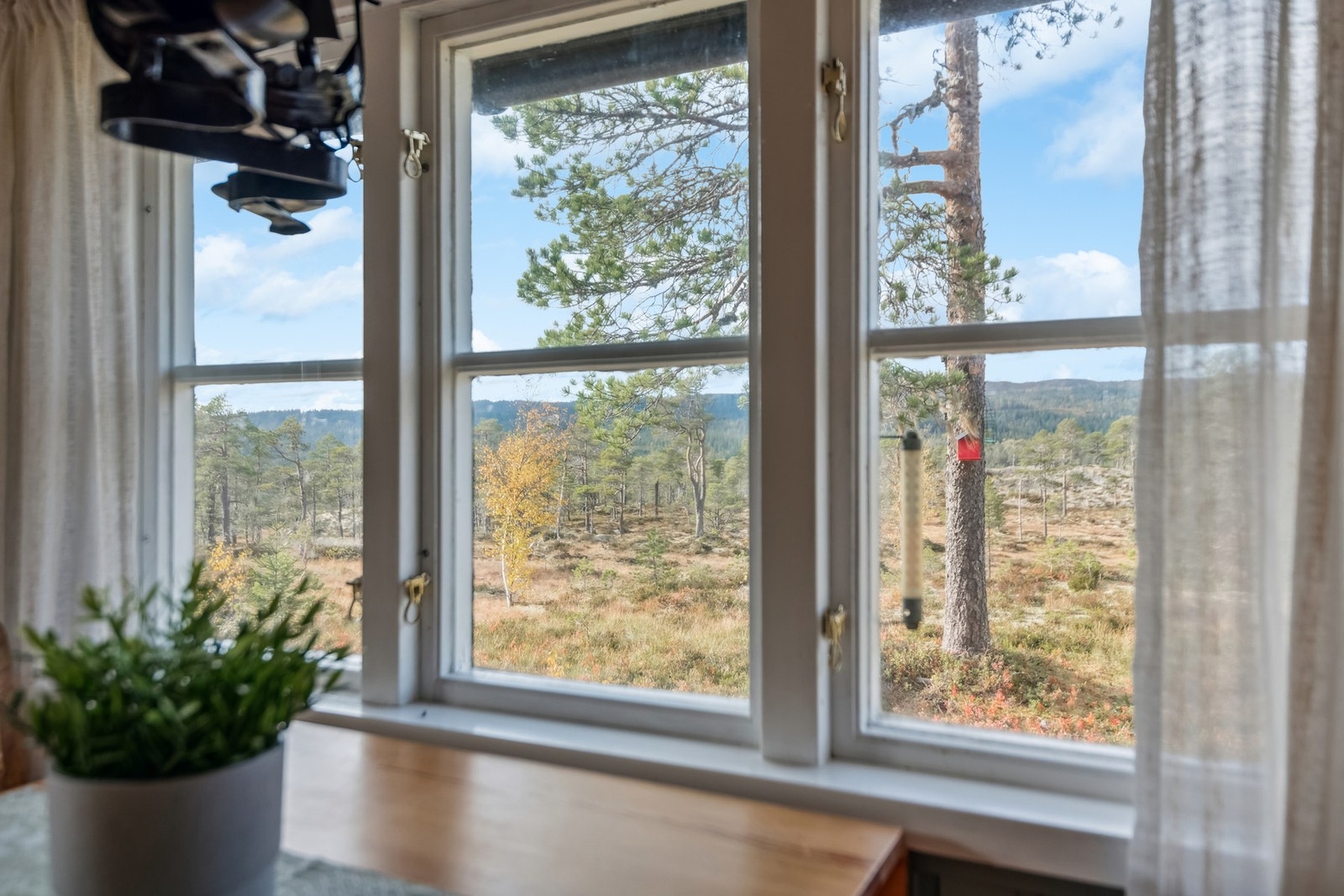 Fra kjøkkenvinduet kan man nyte flott natur. Galleribilde