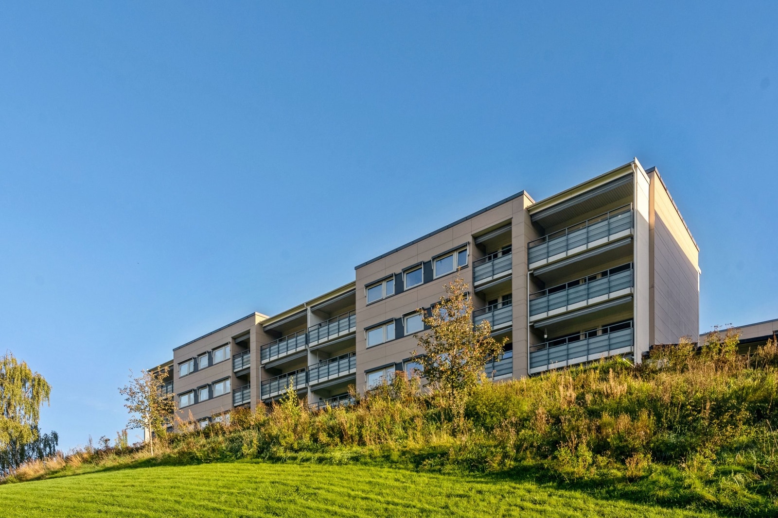 Fasade verandasiden Galleribilde