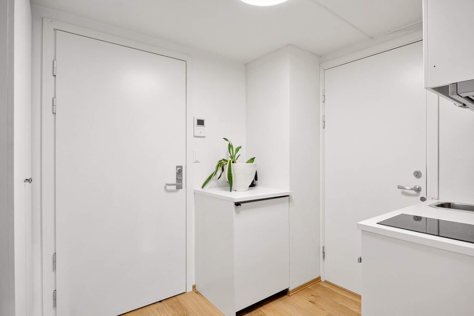 - Lys og hyggelig entré - Galleribilde