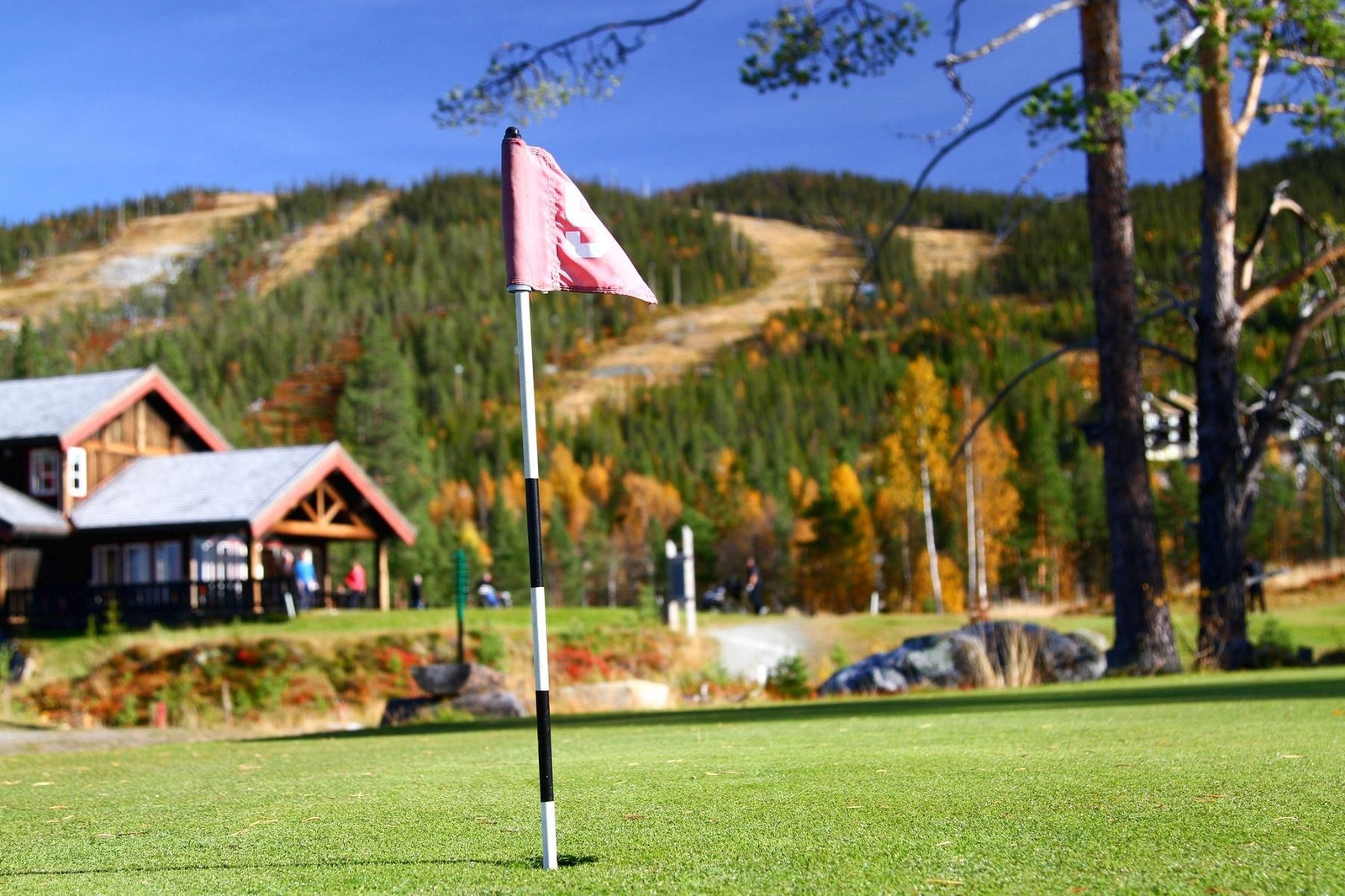 Nesfjellet Golf Galleribilde