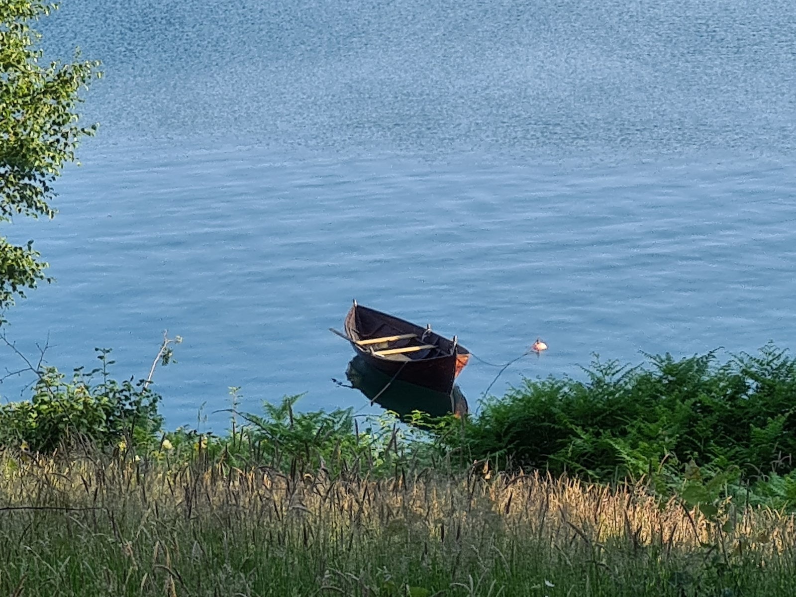 Stemningsbilde, foto til selger Galleribilde