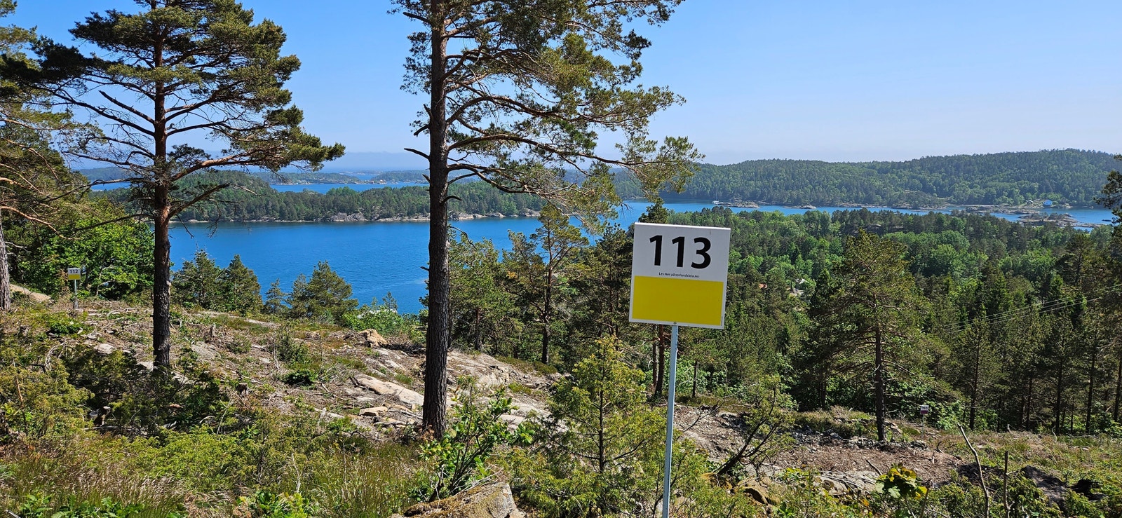 Tomt 113 er i gul priskategori og koster kr 2.700.000,- + omk. (Dette er råtomt med vei, vann, kloakk, strøm og fiber til grensa). Galleribilde