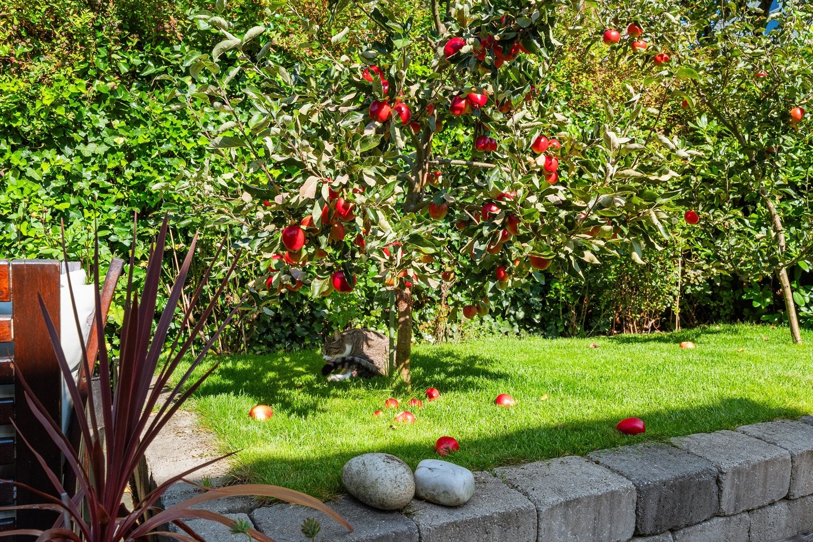 En idyllisk hage Galleribilde