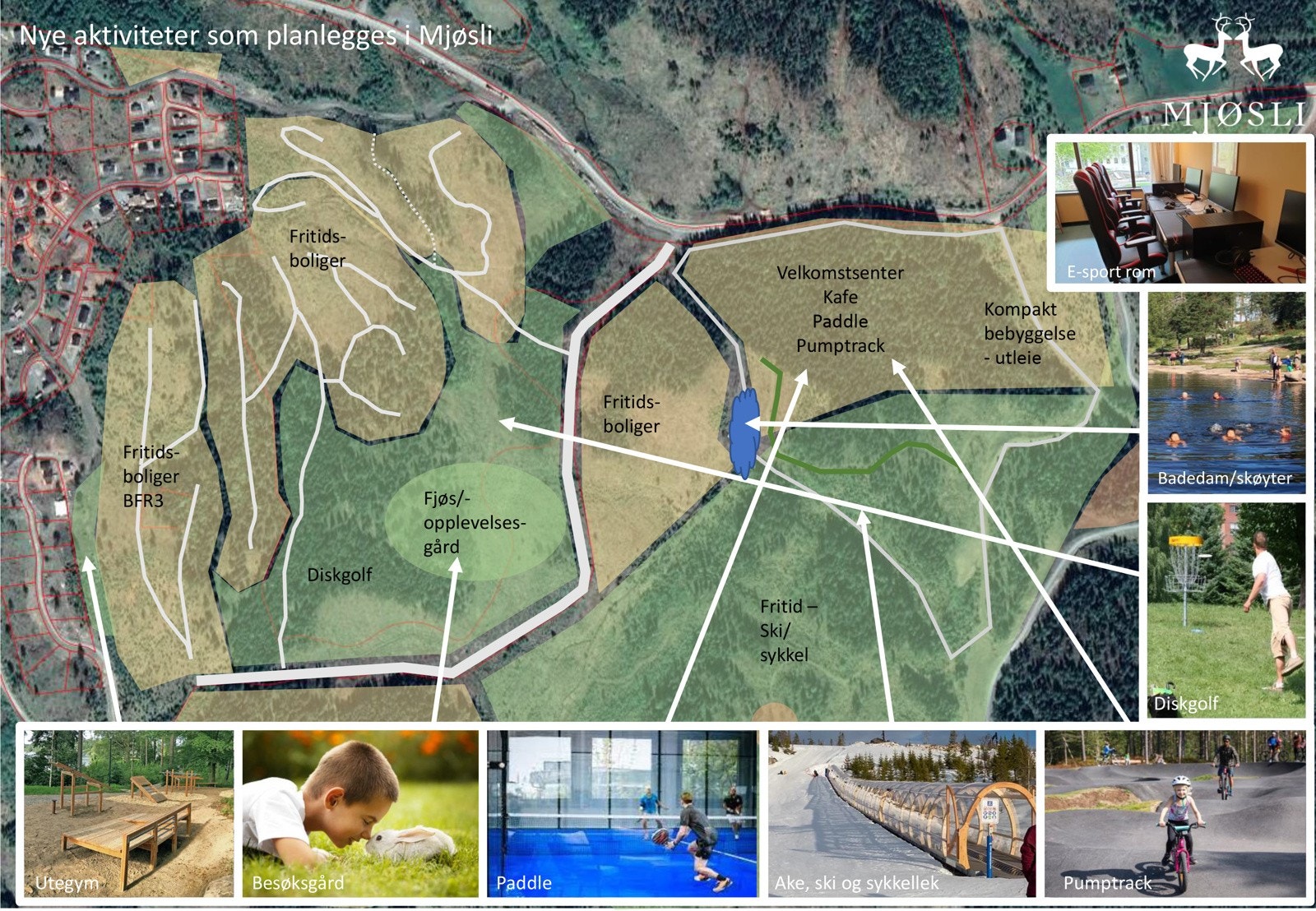 Områder og aktiviteter. Galleribilde