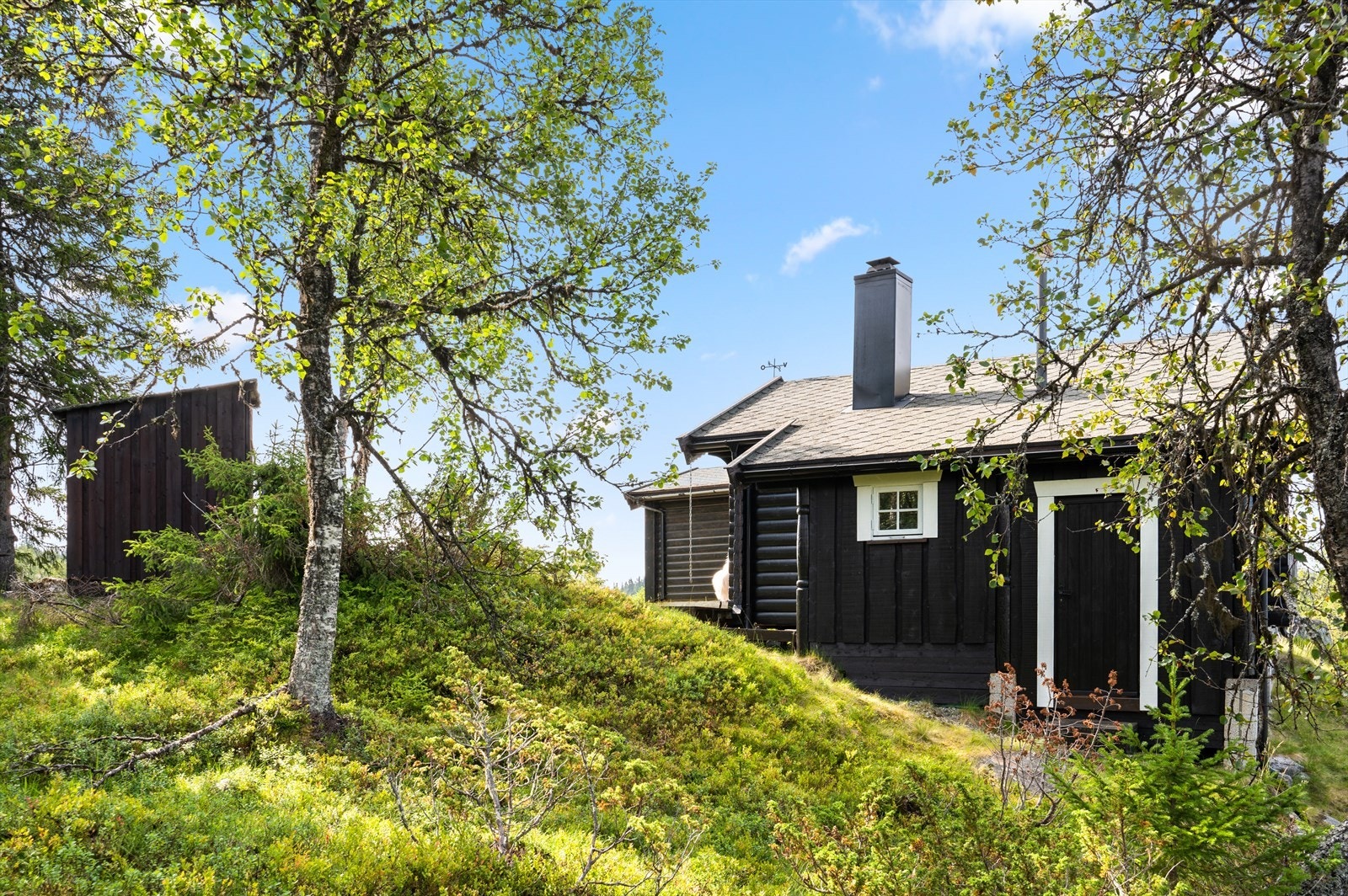 På nedsiden av annekset har man tilgang til en bod. Det er også en frittstående bod (gammel utedo, til venstre i bilde). Galleribilde