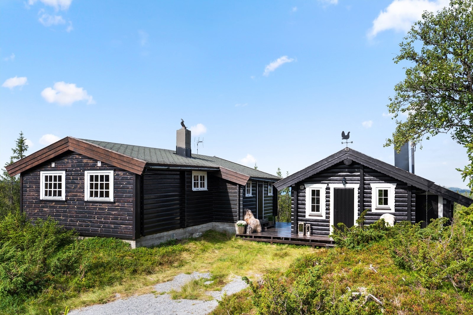 Velkommen til Lyseren 93, ei sjarmerende hytte hele 964 moh. Galleribilde