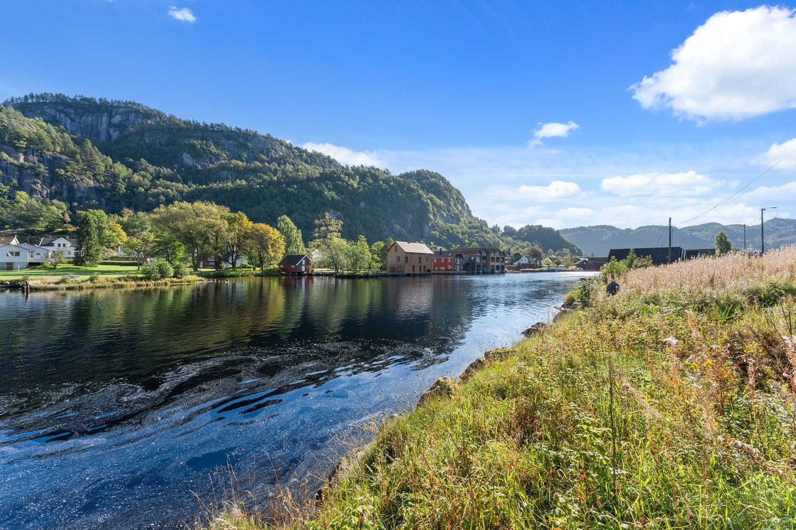 _DSC1831 Galleribilde