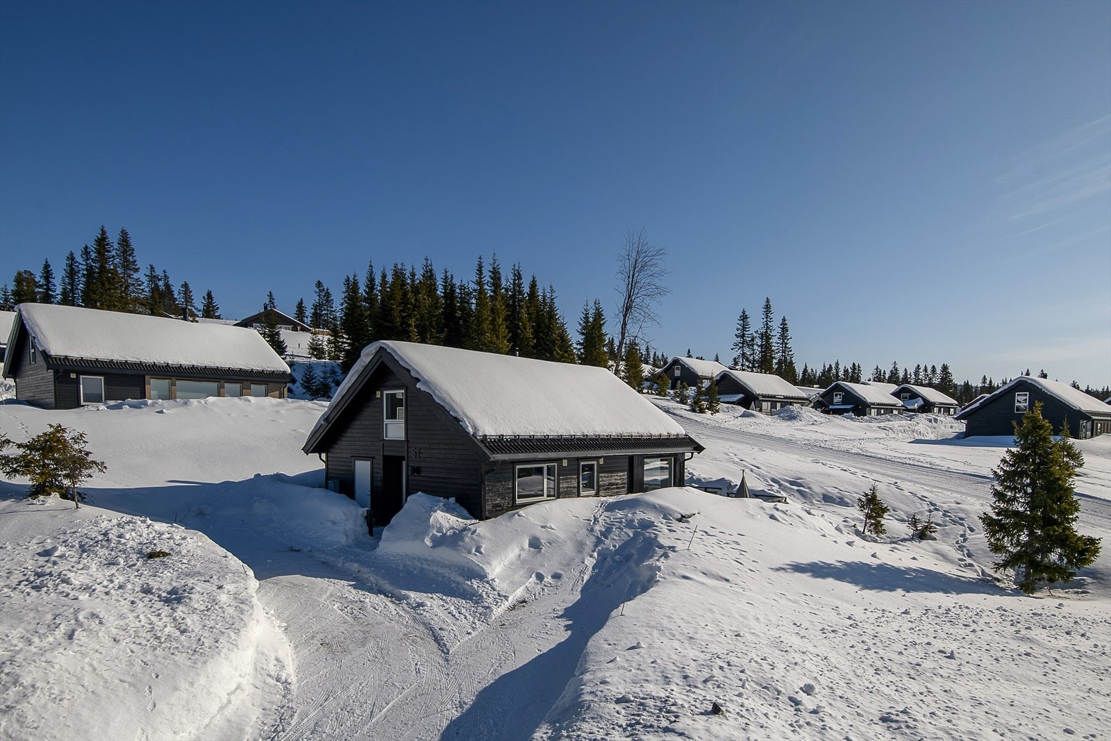 Nyere, moderne og tiltalende hytte i det populære Sjusjølia-feltet. Galleribilde