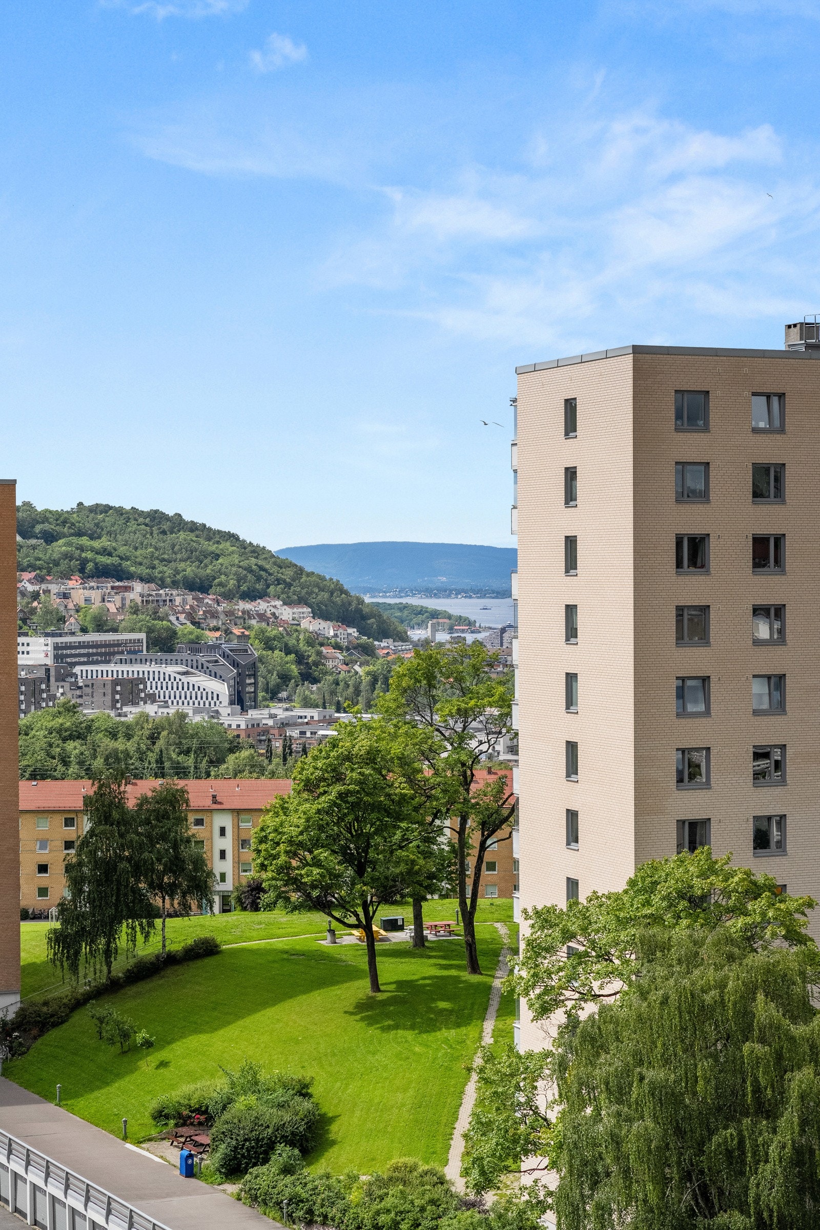 Oslofjorden skimtes i det fjerne. Galleribilde