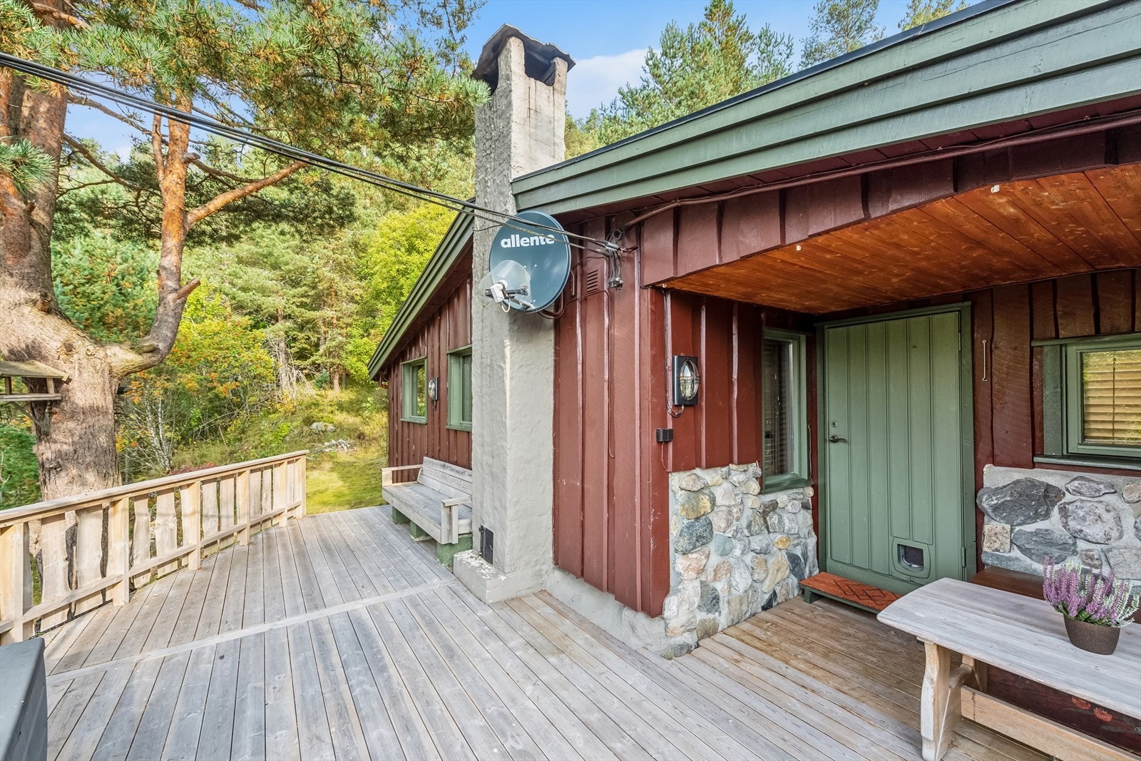 Koselig uteplasser rundt hytta. Galleribilde