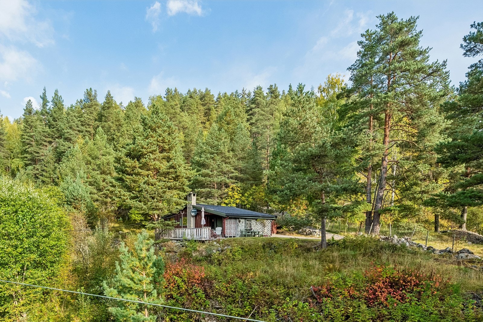 Her har du turstier rett ved hytta. Galleribilde