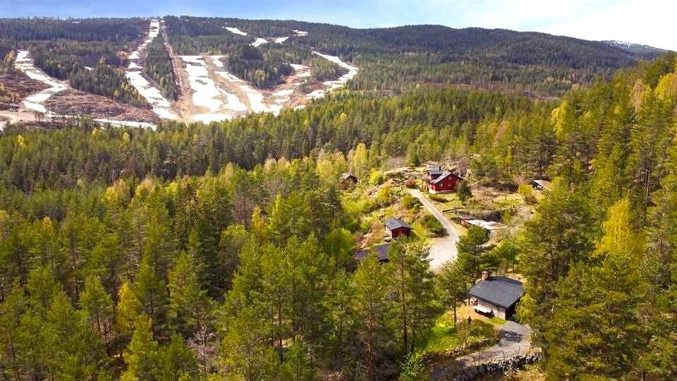 Privat bilde Galleribilde