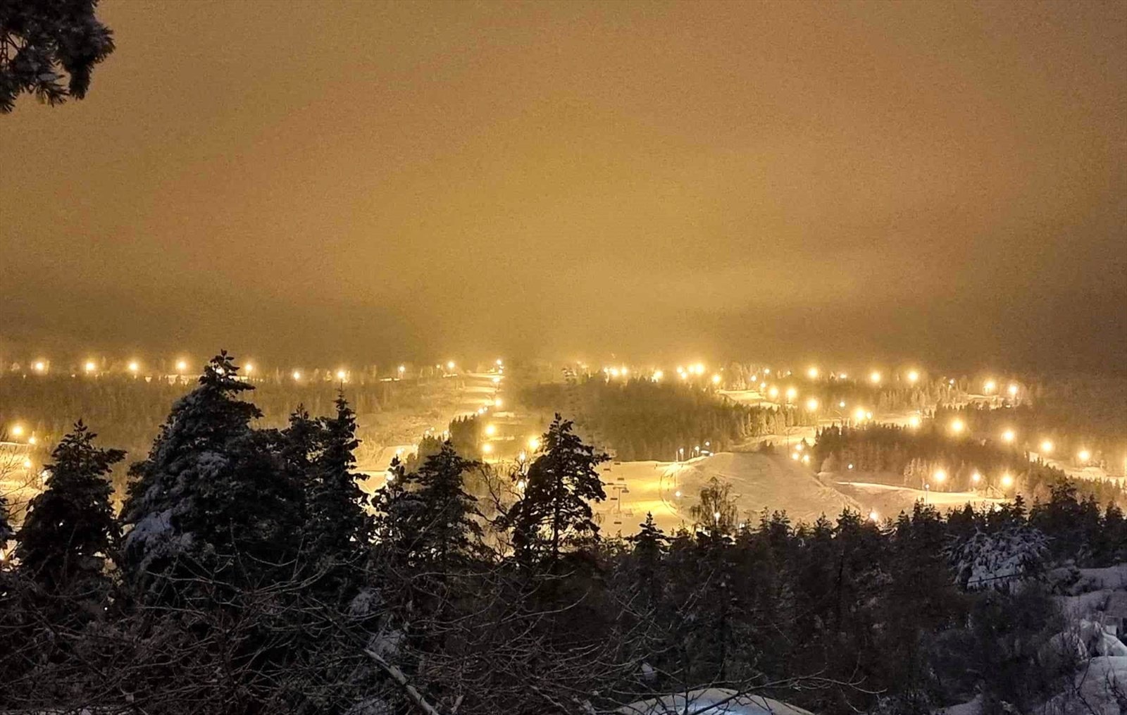 Privat bilde Galleribilde