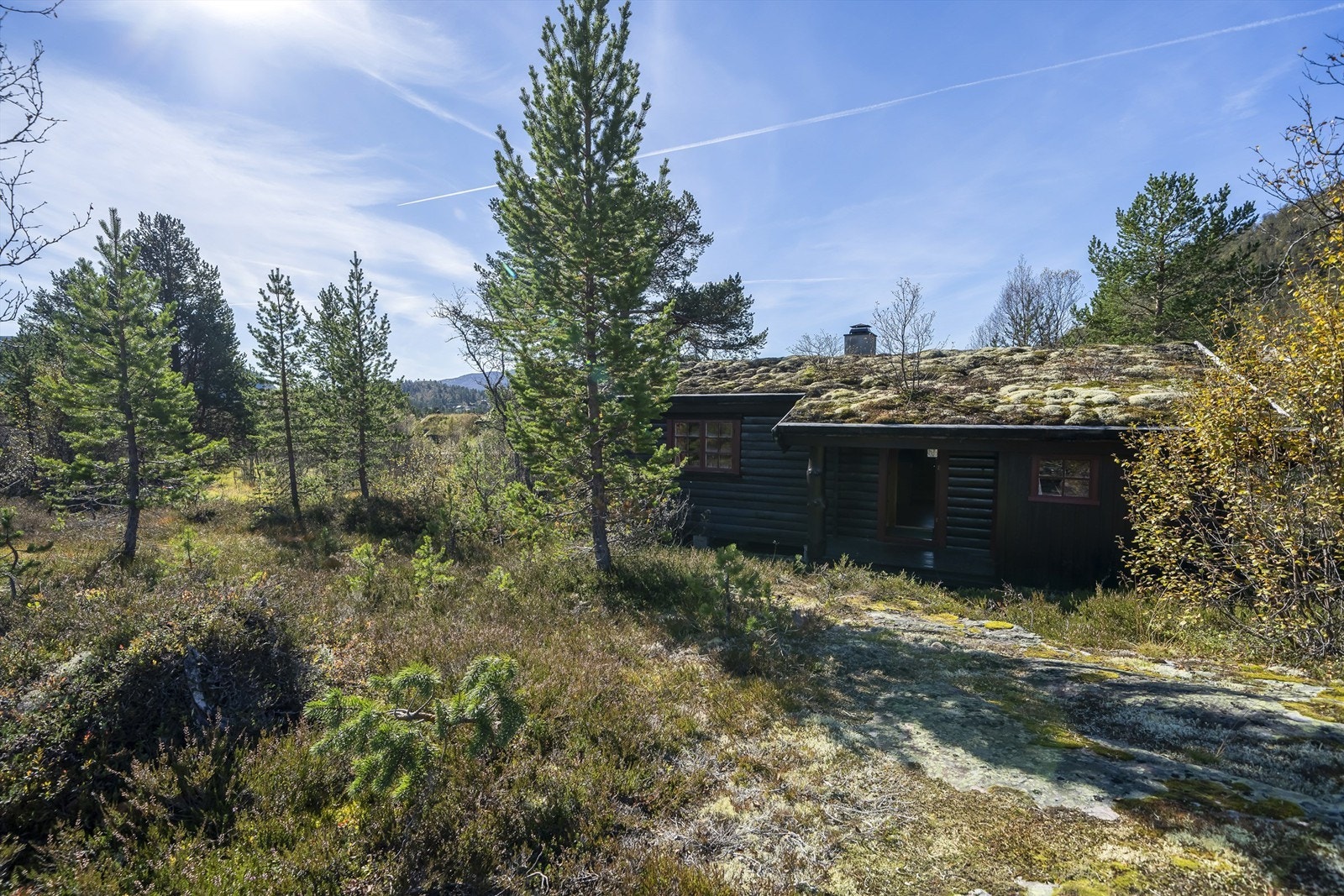 - Velkommen til Vestvegen 21 - Galleribilde