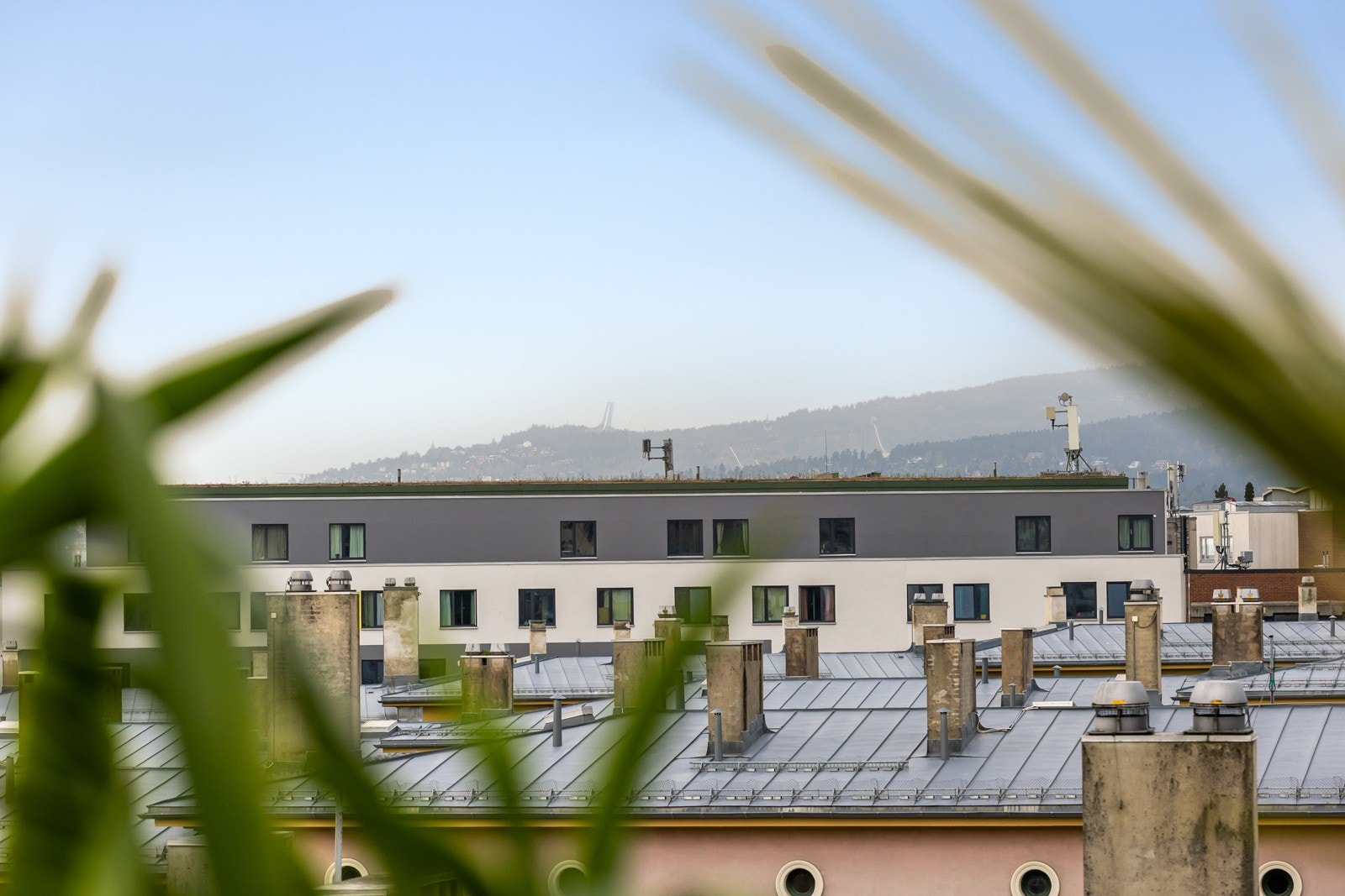 Fra terrassen har du nydelig utsikt over byens tak og mot Holmenkollen. Galleribilde