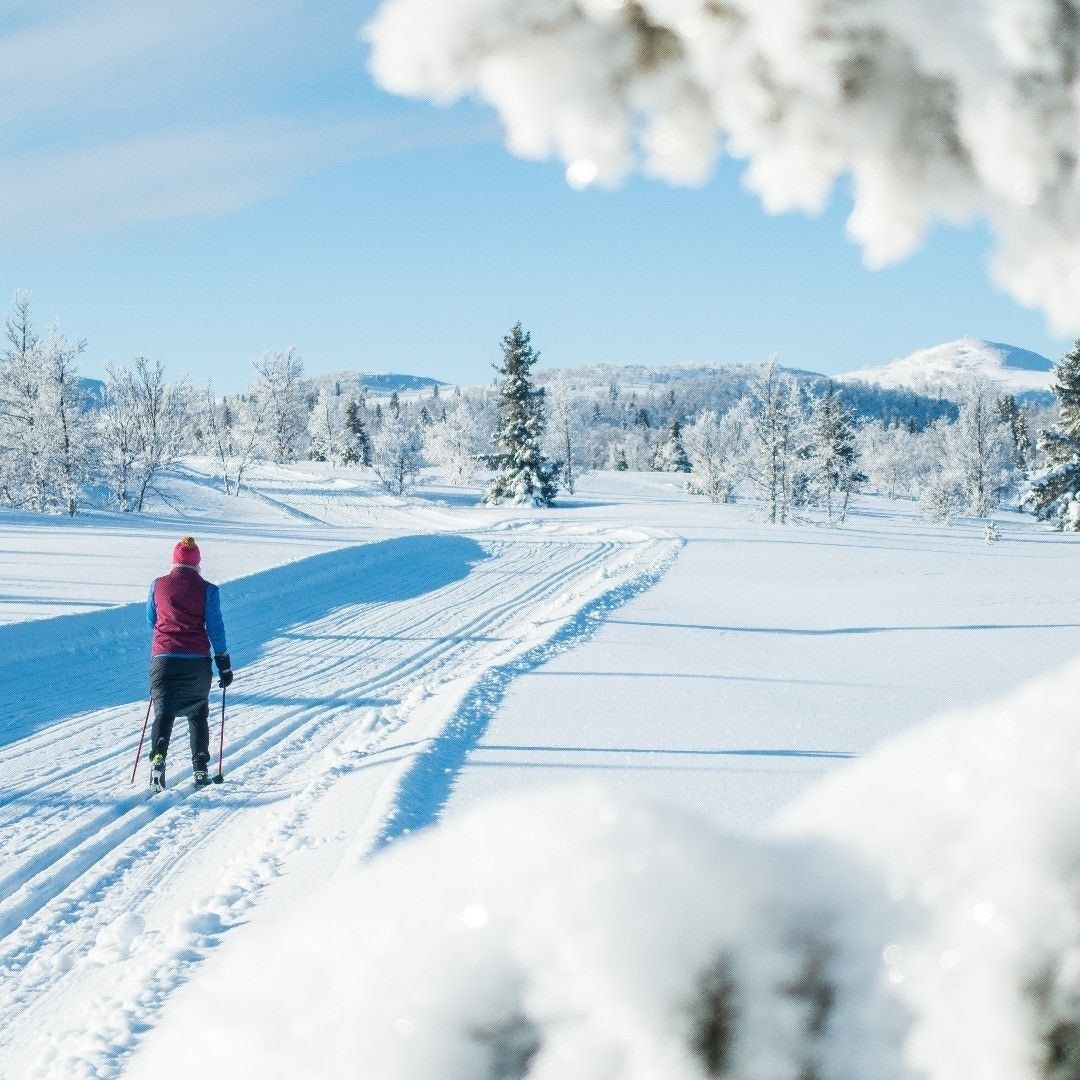 Flott fjellterreng i skog og snaufjell. Milevis med langrennsmuligheter for liten og stor Galleribilde