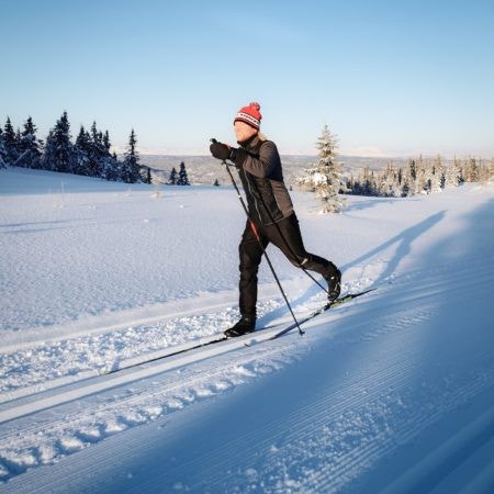 Øvre langrennsløype inn til fjellet går like ved tomtene Galleribilde