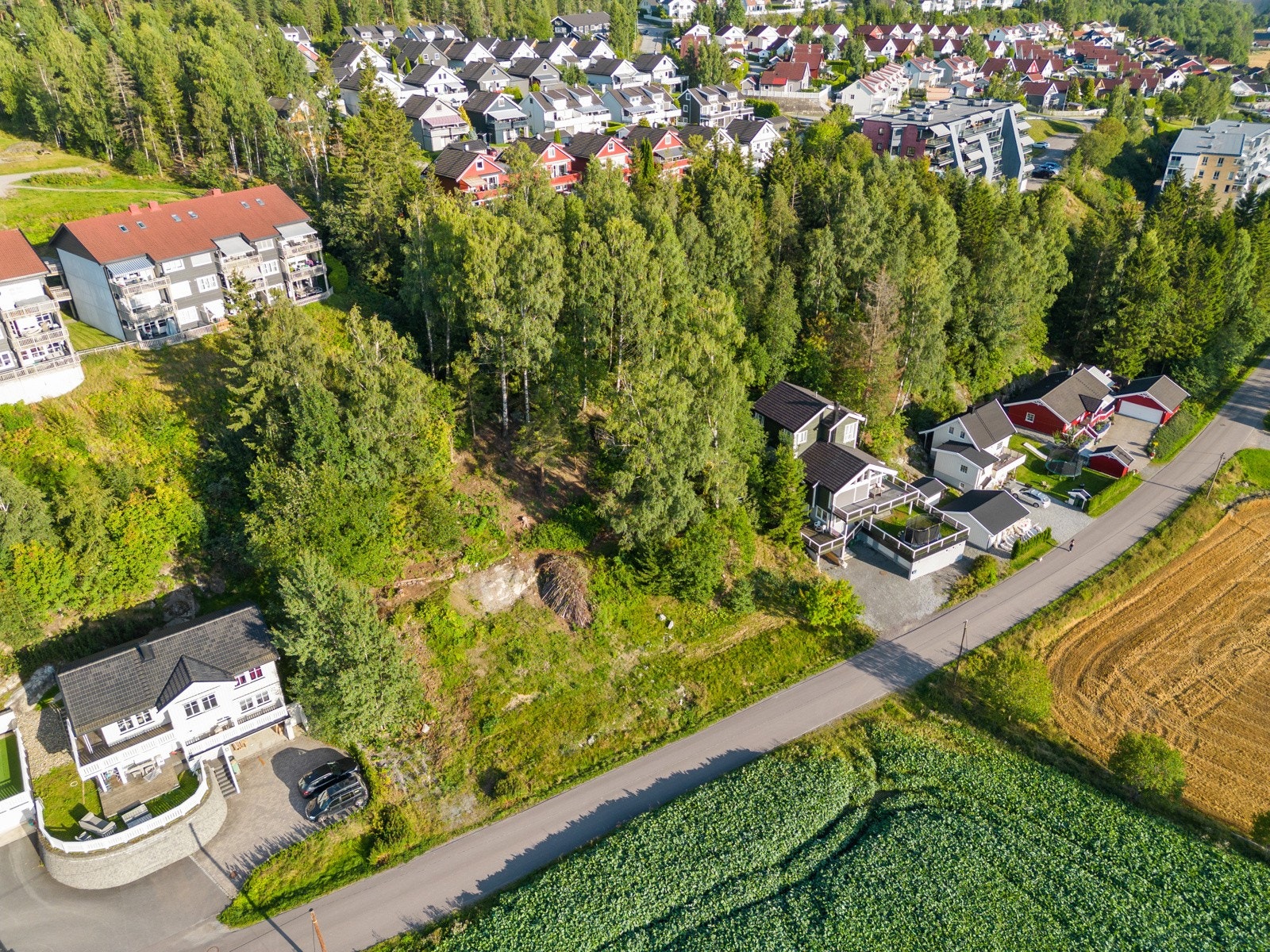 Oversiktsbilde. Galleribilde