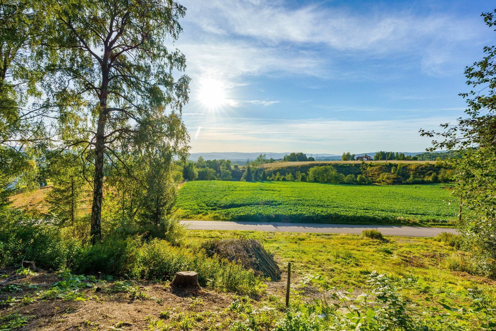 Tomtene ligger i et etablert boligområde med utsikt mot landlige omgivelser. Galleribilde