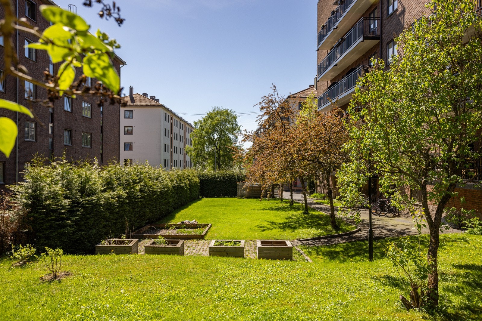 (arkivbilde) Galleribilde