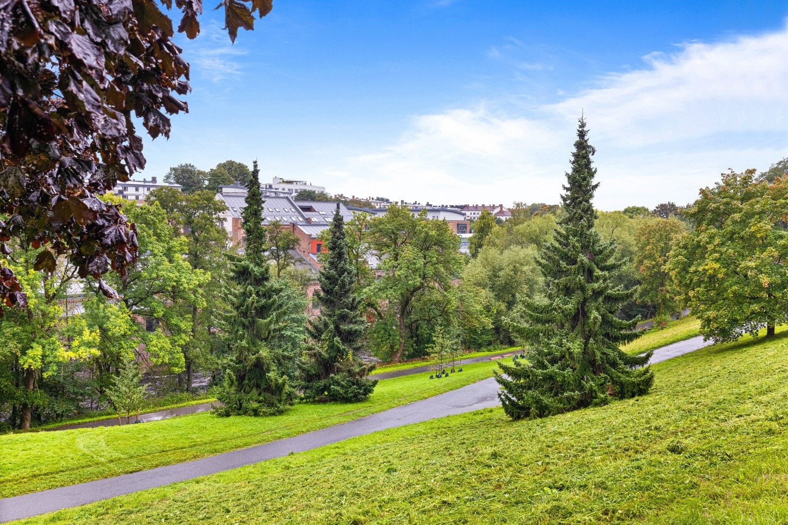 Fra leiligheten har du gangavstand til Bjølsendumpa. Galleribilde