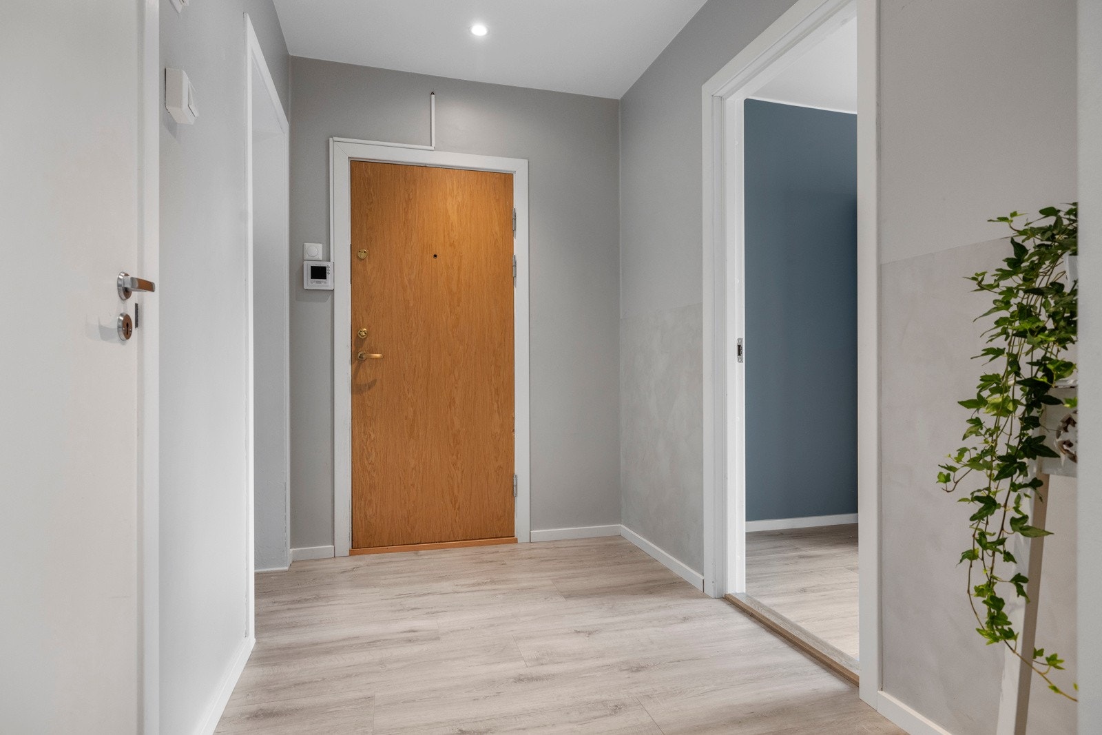 Entreen er et trivelig rom å ønske velkommen inn med samme laminatgulv som øvrige rom, downlights i himlingen og tidsmessig farge på vegger Galleribilde