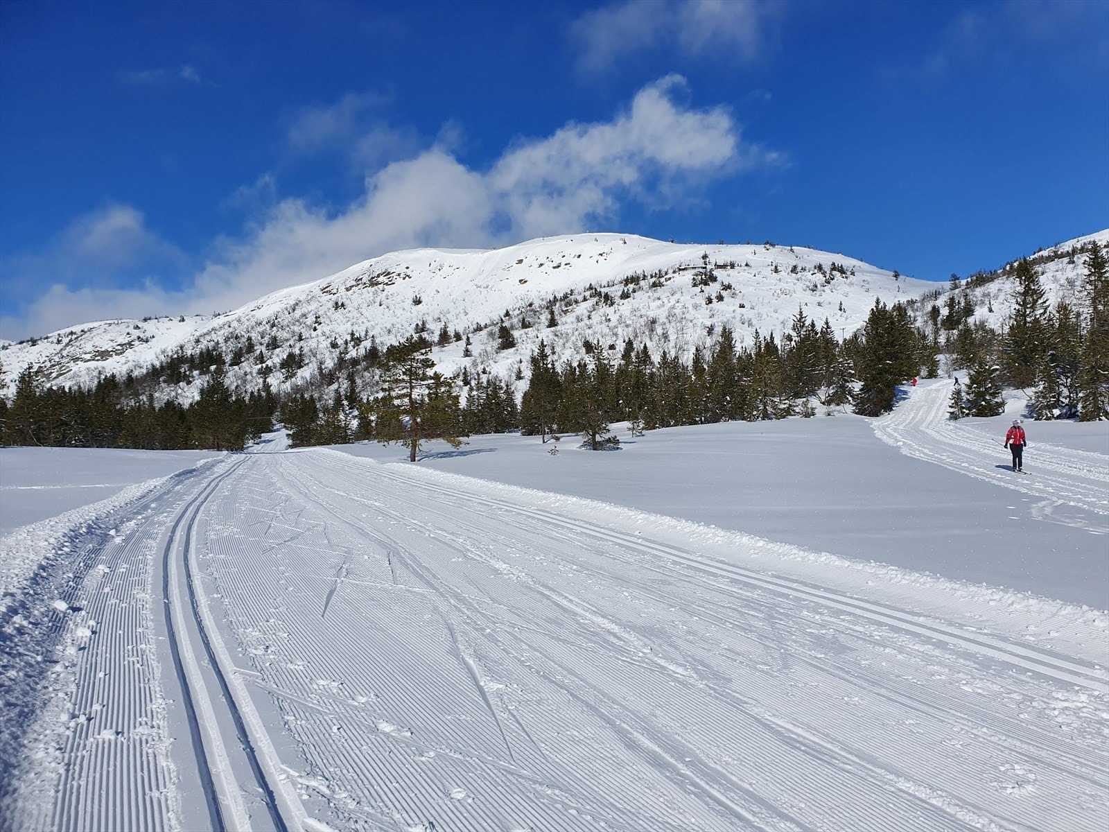 Skiløyper på Jønnbuflåtin. Selgers bilde. Galleribilde