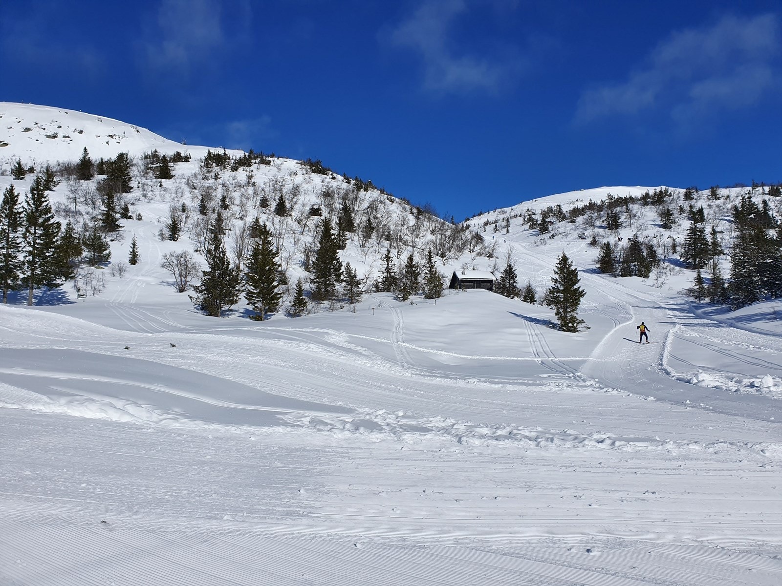 Krintokleiva i umiddelbar nærhet til tomten. Selgers bilde. Galleribilde
