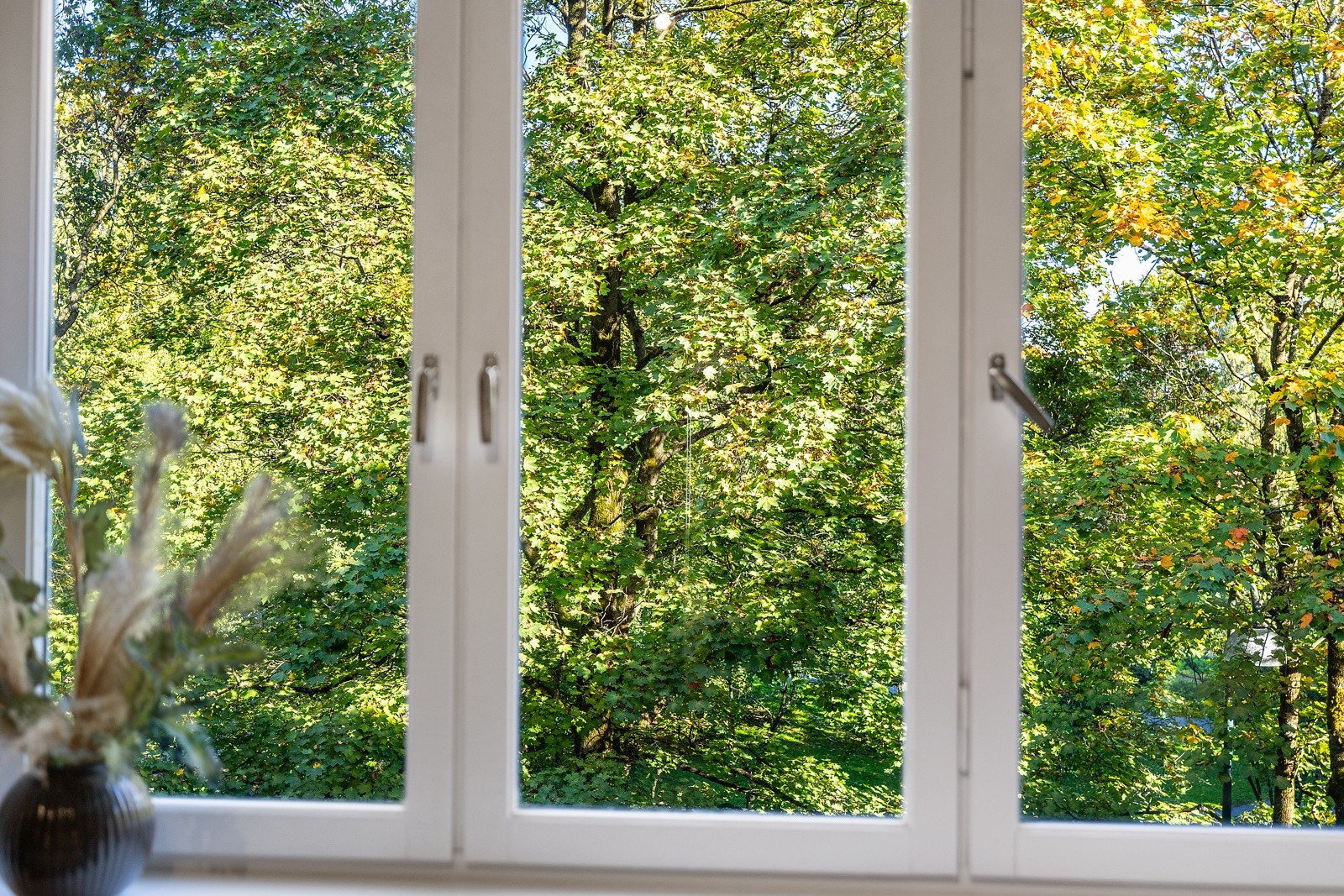 Den store vindusflaten slipper inn rikelig med naturlig lys, her er det minimalt med innsyn og frodig utsyn. Galleribilde
