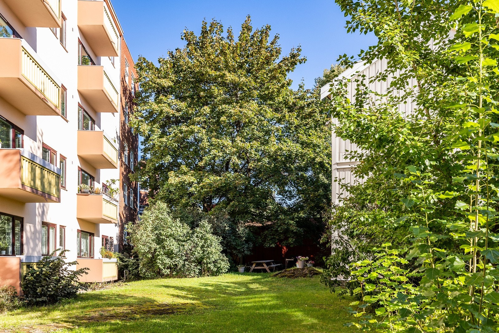 Her er det god plass til å også finne på utallige uteaktiviteter, sommer som vinter. Galleribilde