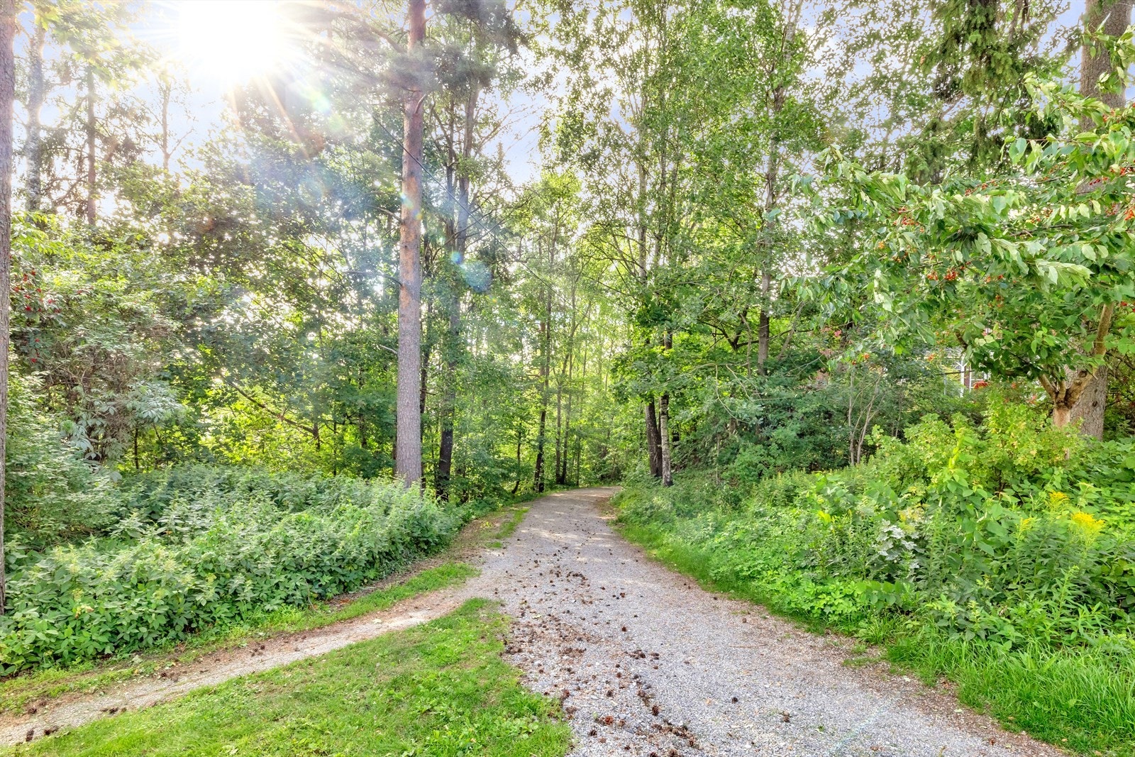 Her bor du med nærhet til marka med flotte turmuligheter både sommer som vinter Galleribilde