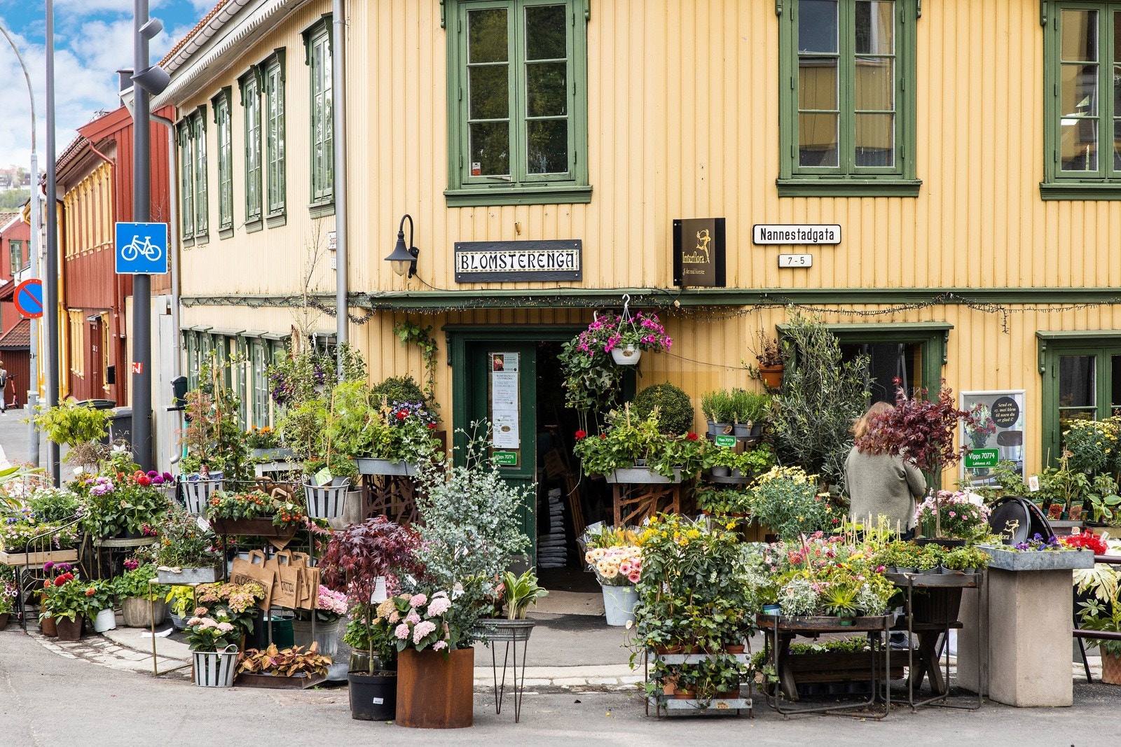 Nærområdet. Galleribilde