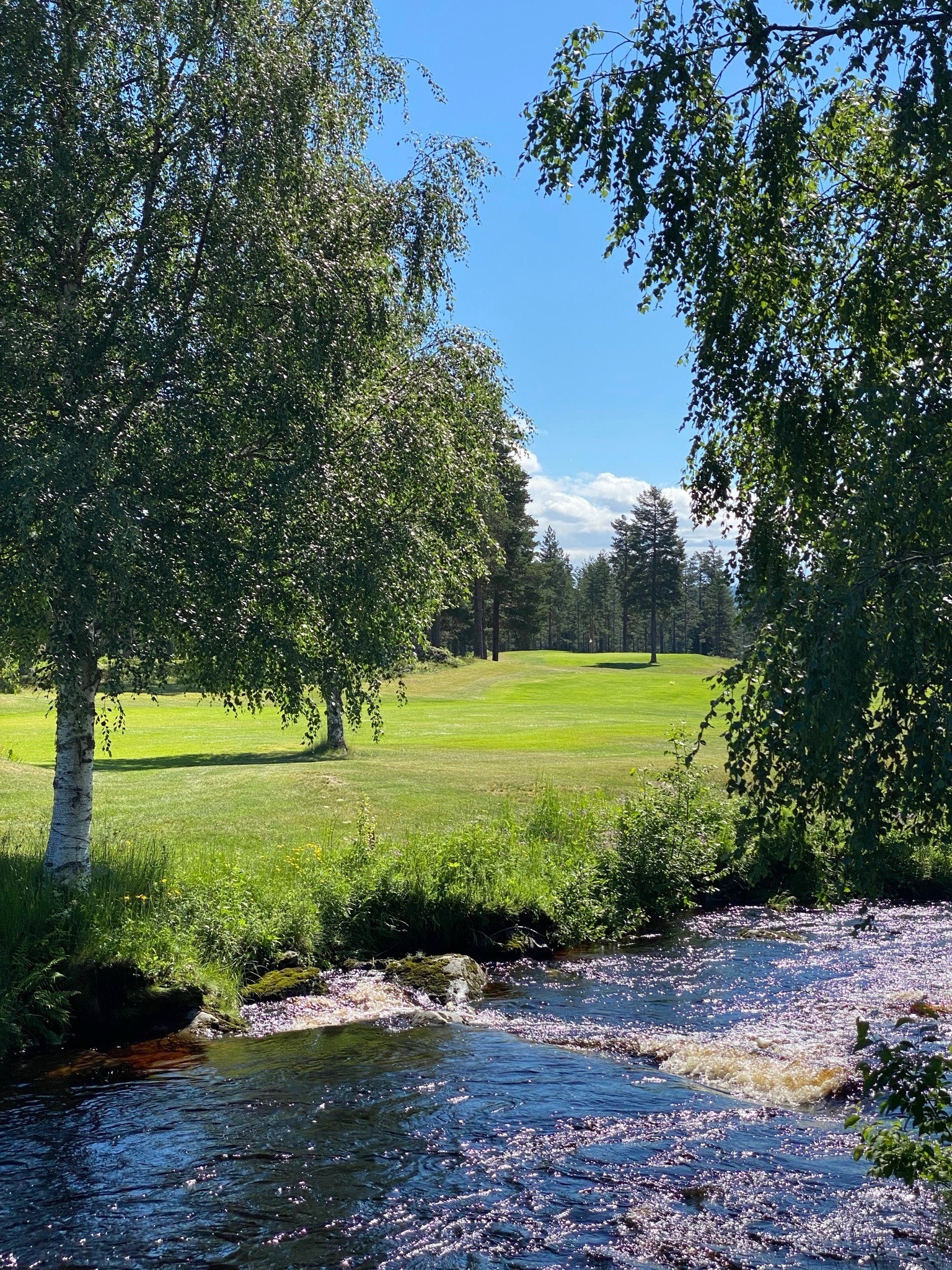 18-hull golfbane ved foten av Birkenåsen. Galleribilde