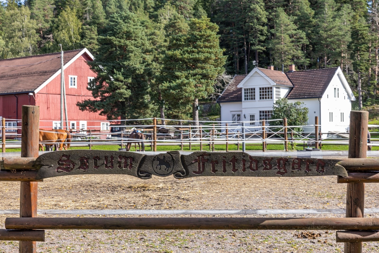 Sørum Fritidsgård med griser, geiter, esler, høner kaniner og hester ligger i nærområdet. Galleribilde
