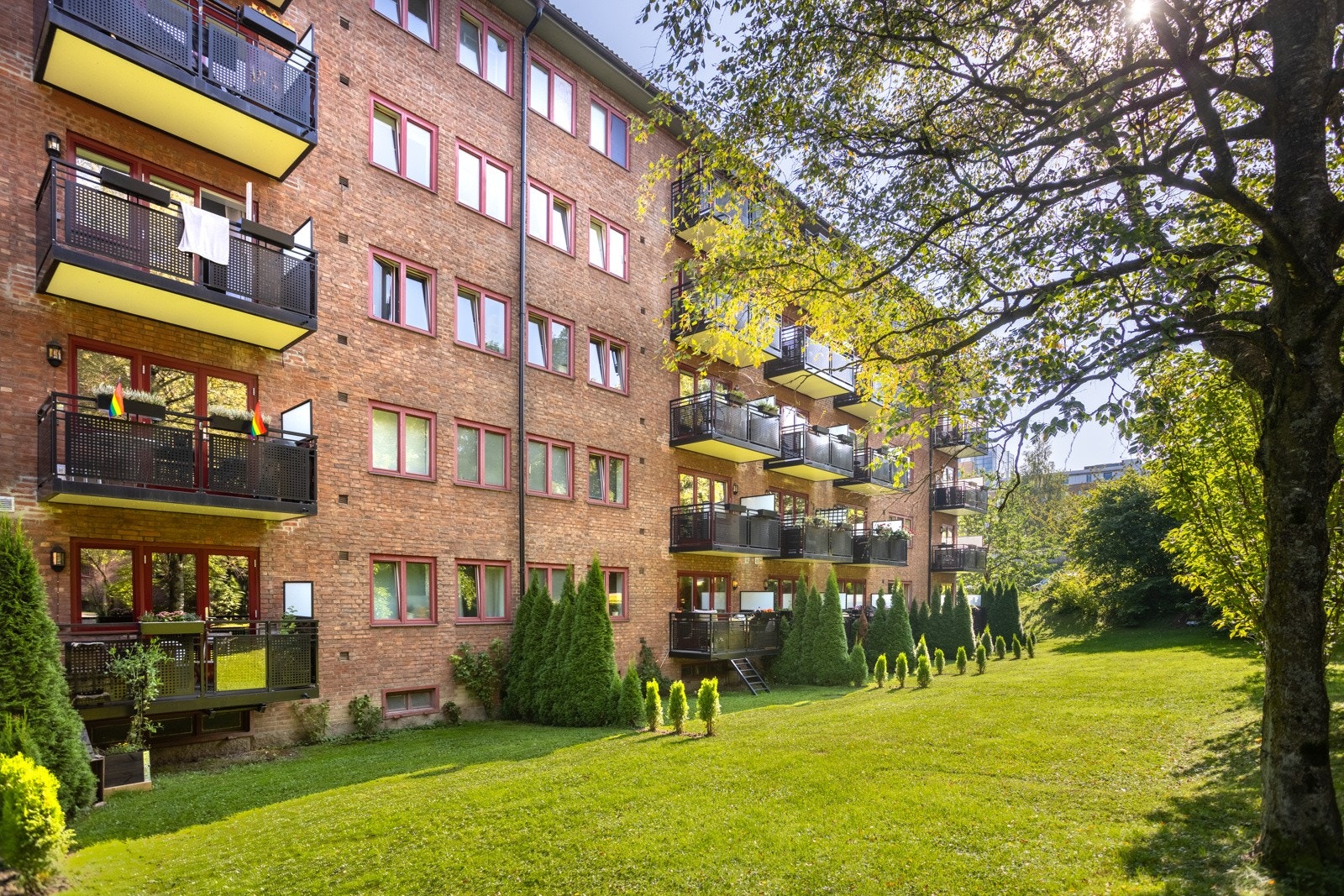 Borrettslaget er veletablert med parkmessig, grønne fellesarealer. Galleribilde