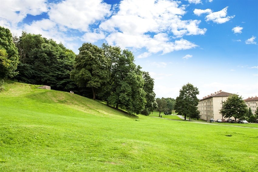 I området finner du fine flere parkområder, som Ola Narr-parken, Tøyenparken, Botanisk Hage og Sofienbergparken. Galleribilde