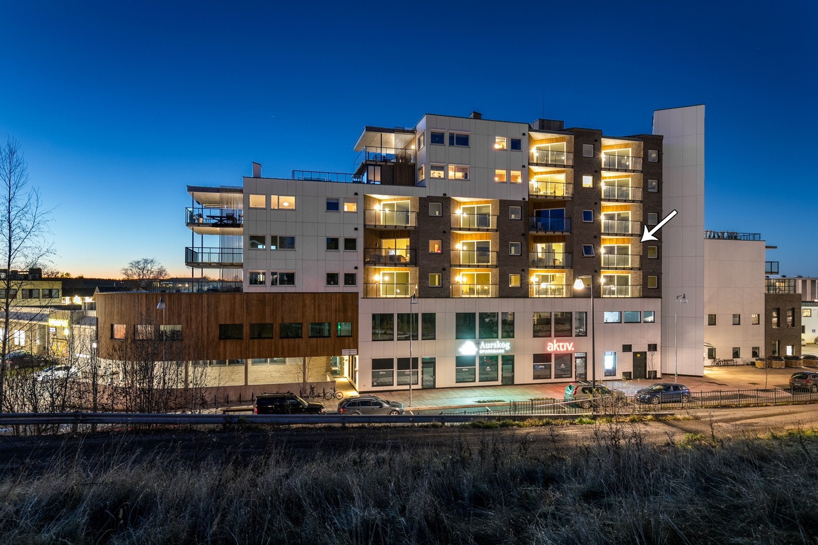 Dronebilde over nærområdet. Galleribilde