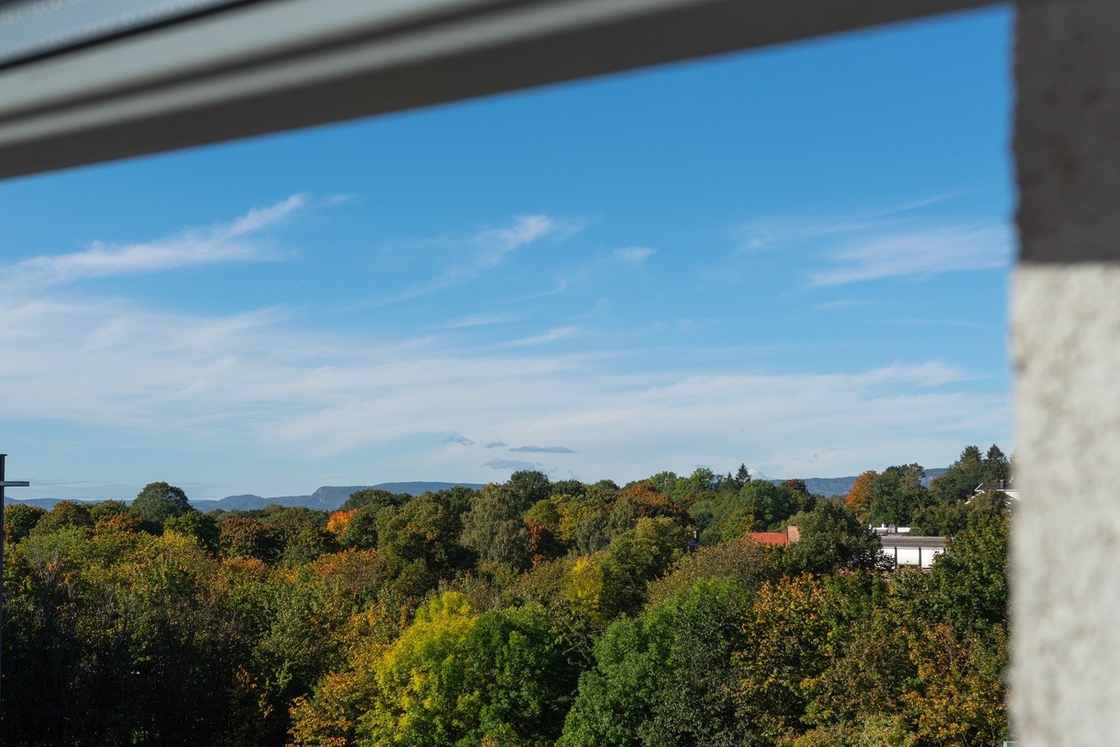 Idyllisk utsikt mot Frognerparken Galleribilde