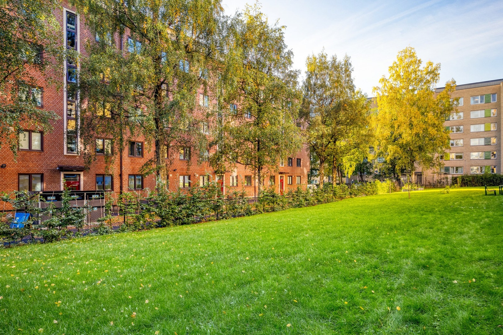 Hyggelig grøntområde utenfor blokken. Galleribilde
