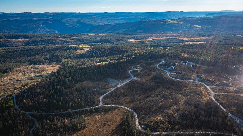 Bilder over felt A, retning felt C Galleribilde