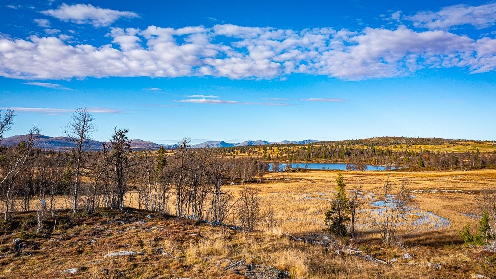 Se info om tomt: hytteifjellet.no Galleribilde