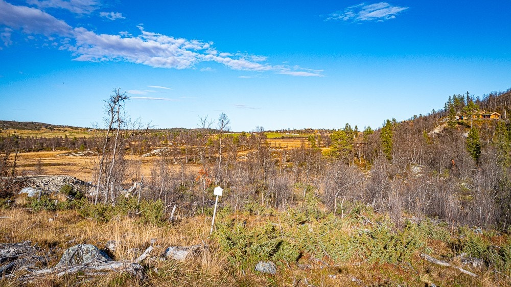 Se info om tomt: hytteifjellet.no Galleribilde