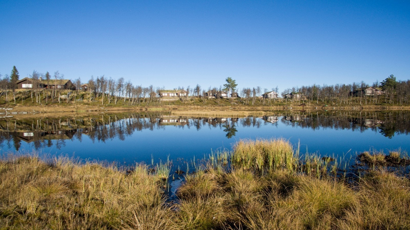 Bilder i retning felt A Galleribilde