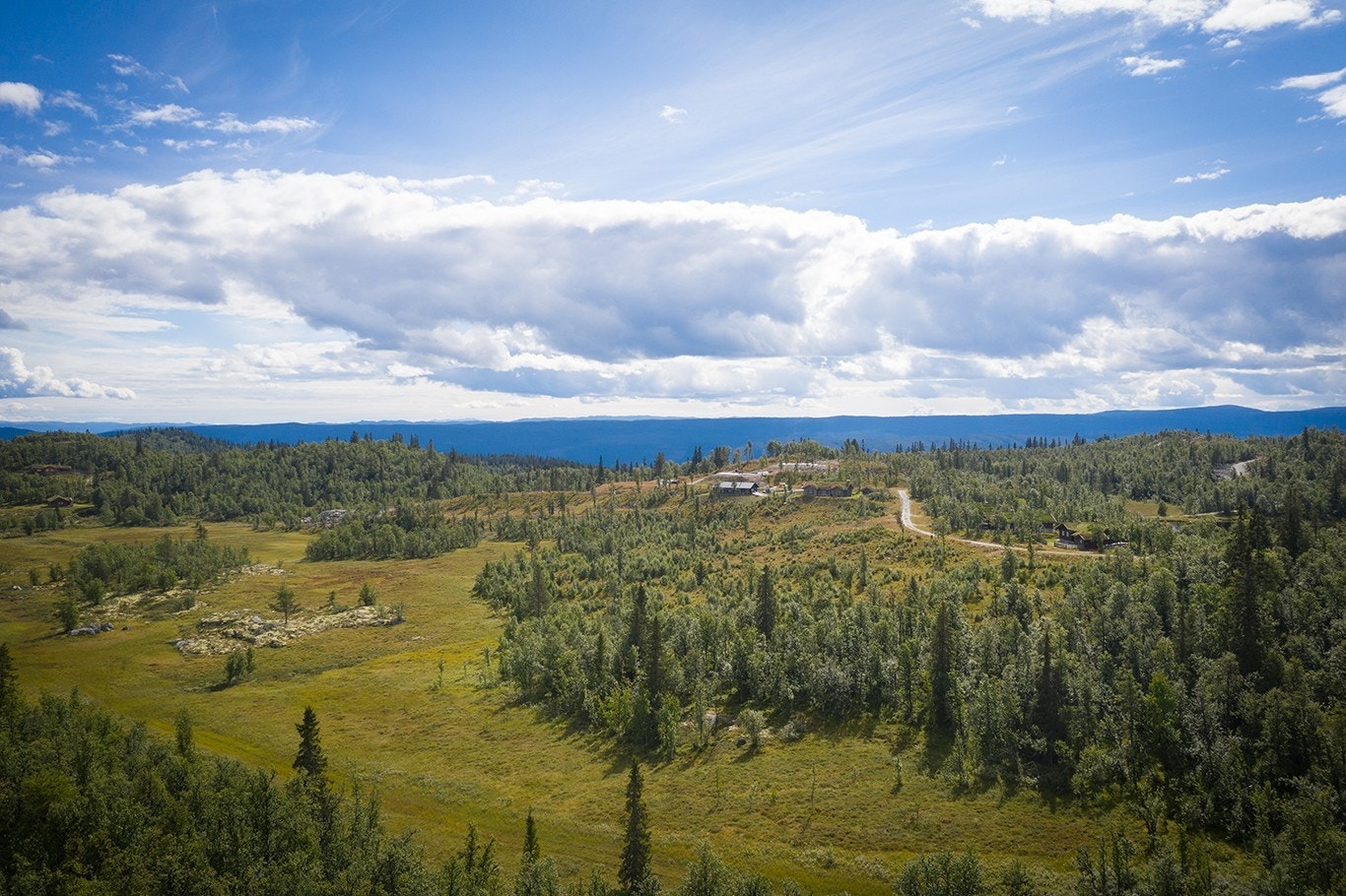 Området – sommer Galleribilde