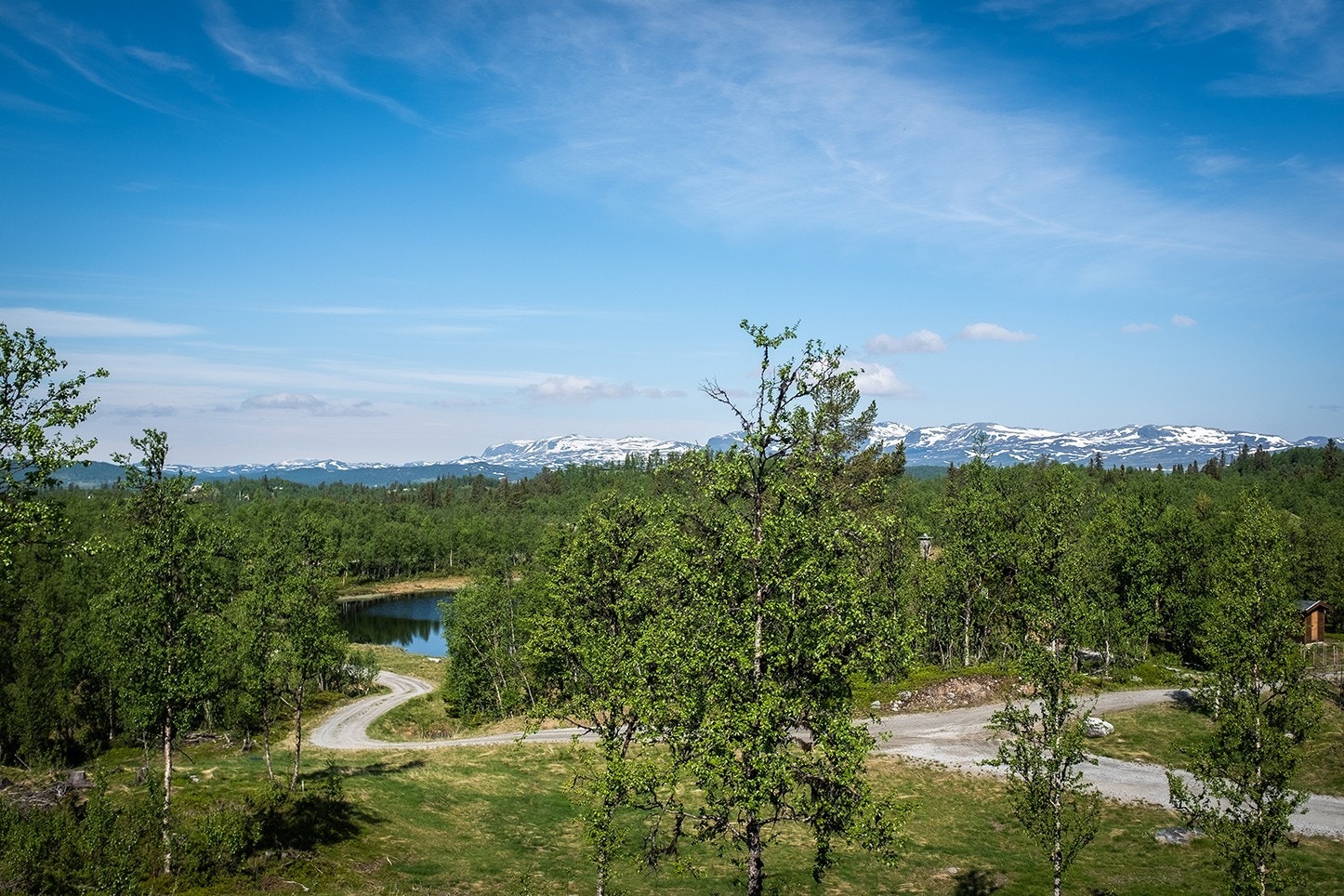 Området – sommer Galleribilde