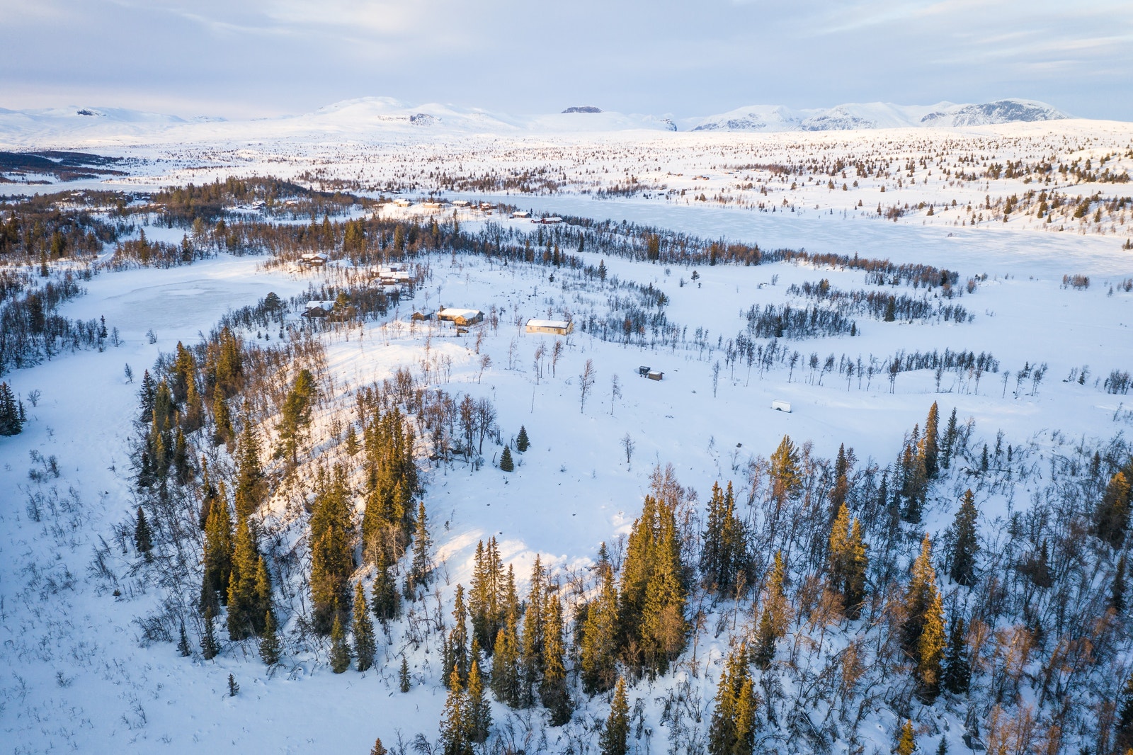 Området – vinter Galleribilde