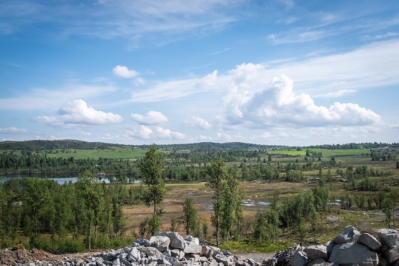 Området – sommer Galleribilde